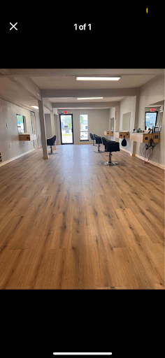 Salon 377 - Visual