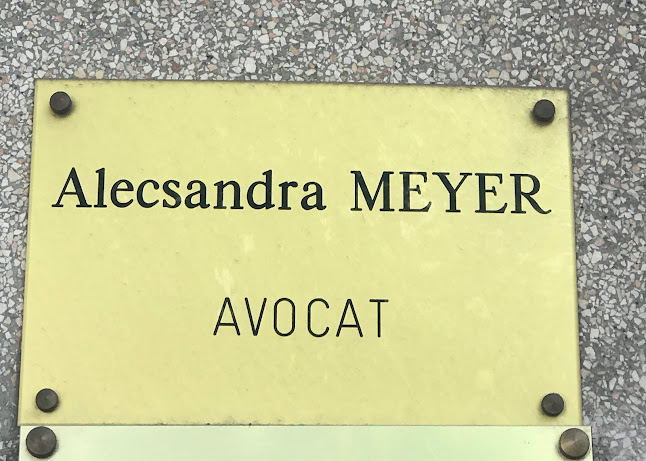 Avis sur Avocat Divorce et Droit du Travail Toulon - Alecsandra Meyer à Toulon - Avocat