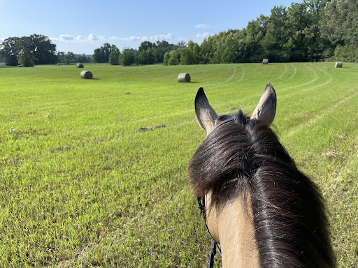 Belcavallo Farm LLC - Thumbnail