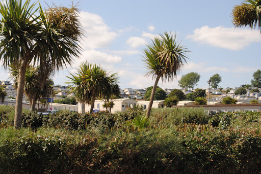 Devon Cliffs Hm69X - Visual