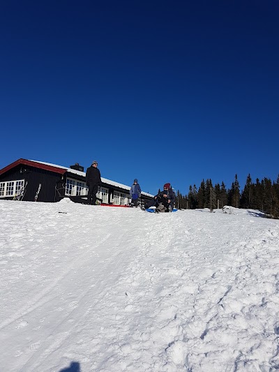 Photos of Lager&aring;kvisla