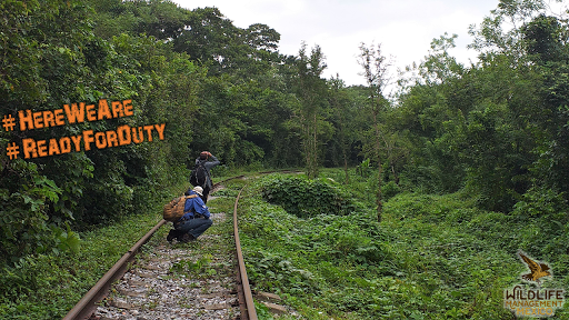 Wildlife Management Mexico - Thumbnail