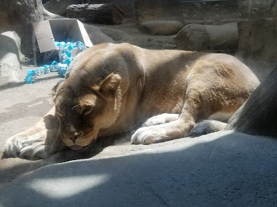 Erie Zoo