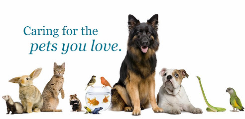 Foto de Arcadia Veterinary Hospital