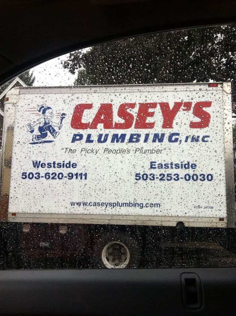 Casey's Plumbing Inc - Plumbing Services