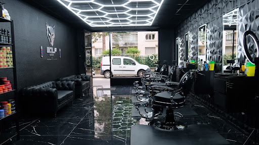 Wolf barber Gallery - France