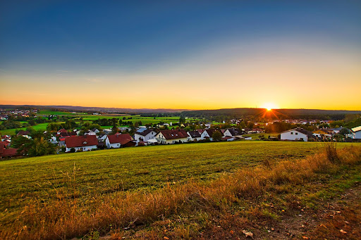 Bierl Wald - Visual