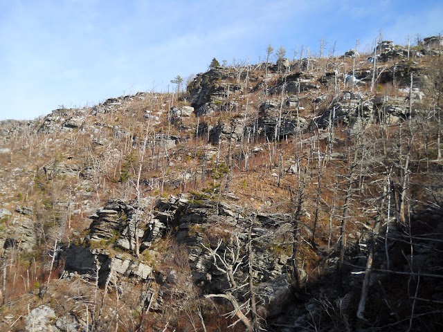 Linville Gorge Wilderness