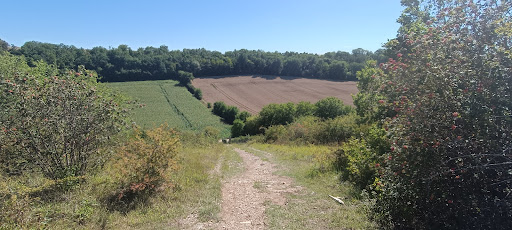 Coteaux et Carrières d'Ensoulesse - Thumbnail