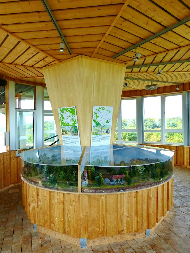 Baumkronenpfad im Nationalpark Hainich