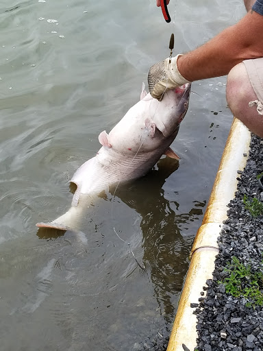 Reel Catch, LLC - Thumbnail