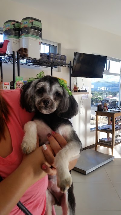 Photos of Veterinaria Zooluciones