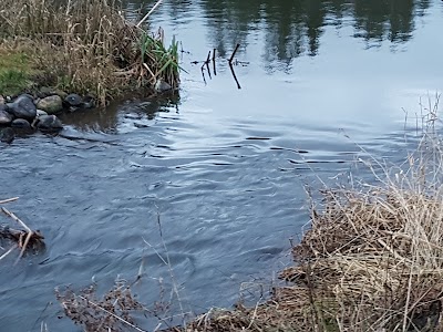 Photos of Klosterheden Woods