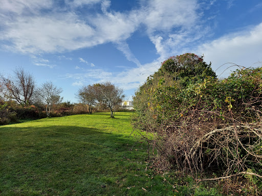 Kirk Park - Thumbnail