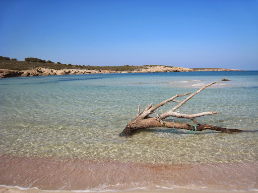 FINCAS VENALIS - PORTAL MENORCA | Inmobiliaria | Estate Agents | Mahón