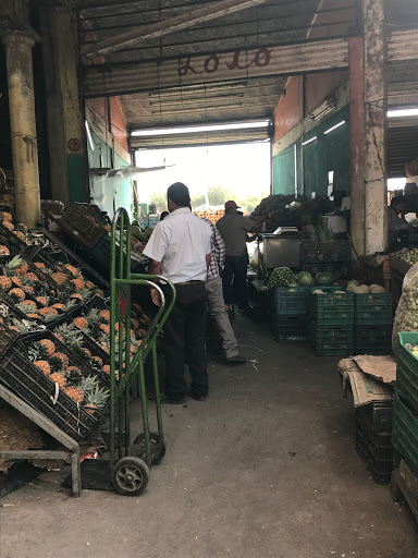 Piñas Julio Morales