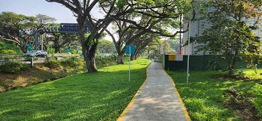 East Coast Park Service Road Bypass - Thumbnail
