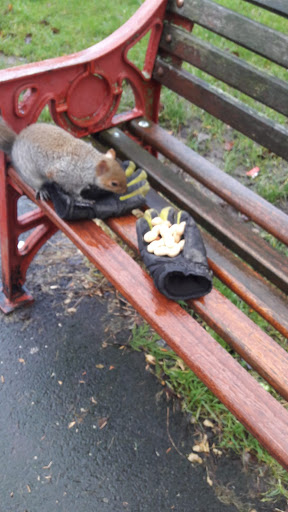 Squirrel force headquarters - Visual