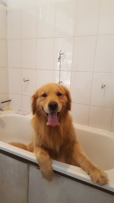 Photos of Petslife Con C&oacute;n