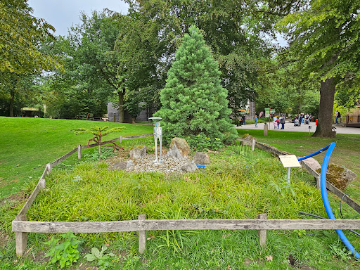 Der Regenmann