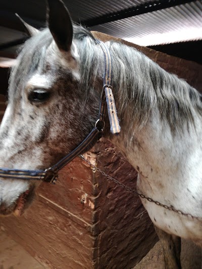 Photos of Cullen Stables