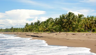 Photos of Tortuguero R&uacute;stico