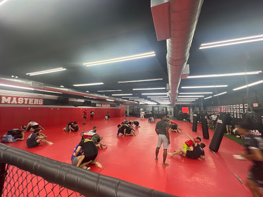 MMA MASTERS - Visual