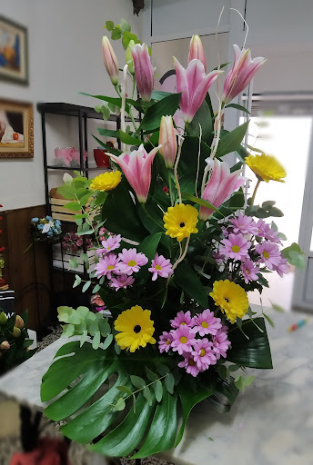 +qflor - Visual