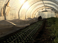 Les Jardins de Bons Temps à Quistinic