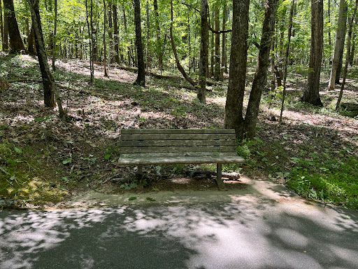 Tribble Mill Waterfall - Thumbnail