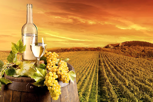 Applegate Wine Tours - Visual