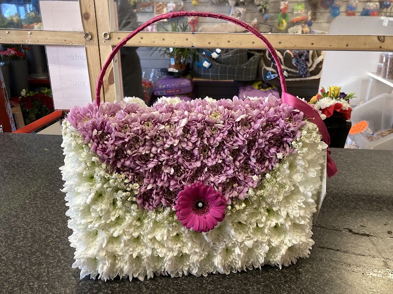 Pet-Alls Bristol photo 2