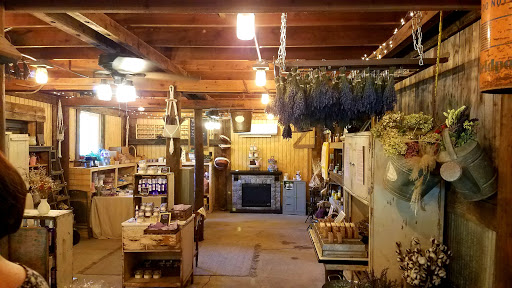 Lavender Life of Pleasant Hill