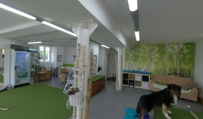 Wuffgang Hundeschule Bern Hundephysiotherapie - Osteotherapie