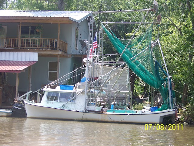 Honey Island Swamp Tours