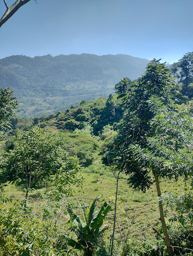 RESTAURANTE MAYA MIRADOR