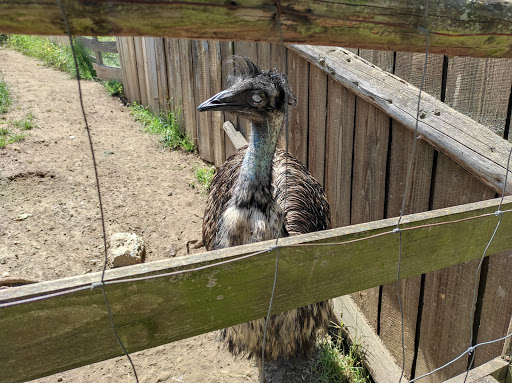 Zájezd Zoo - Thumbnail