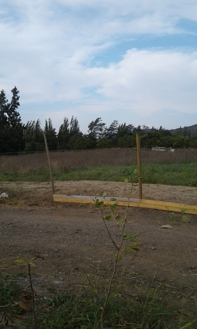 Photos of Rinc&oacute;n de Naltagua