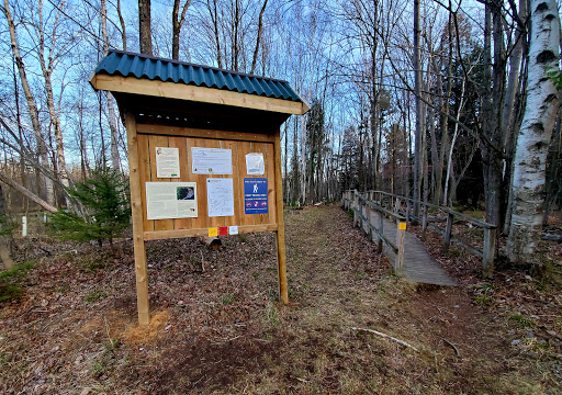 Woodland Dunes State Natural Area Gallery - United States