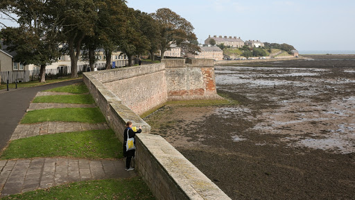 Berwick Film & Media Arts Festival (BFMAF) - Thumbnail