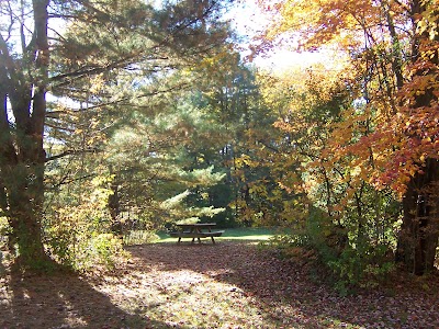 Country Village Campground