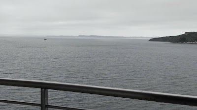 Photos of Patagonia Sushi