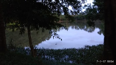 Photos of Aranya Eco Resort