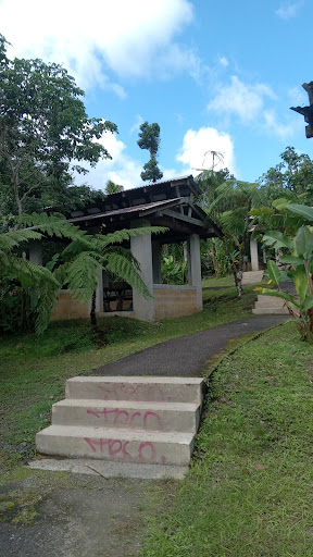 El Patio de San Pedrito - Thumbnail