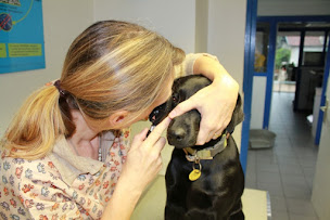 Photo n°13 de Chirurgie Cataracte Chien à Tarnos (Vétérinaire)