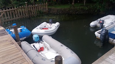 Photos of Captain John's Marina