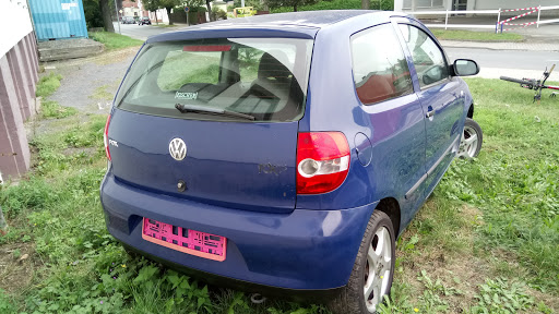 Auto-Freyberg - Visual