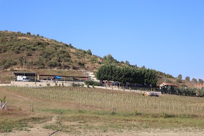 agricamping albania