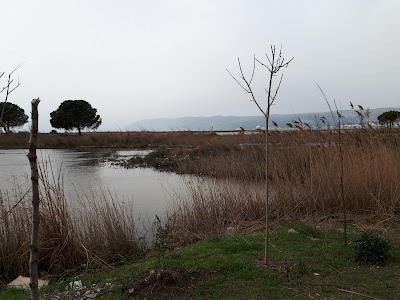 Merxhani Lagoon