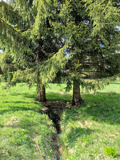 Pechbrunnen - Visual